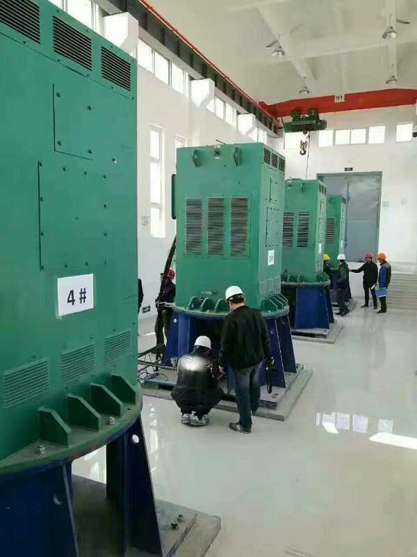灵川某污水处理厂使用我厂的立式高压电机安装现场